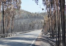 Incêndios: União Europeia apoia Portugal com 50,6 milhões de euros