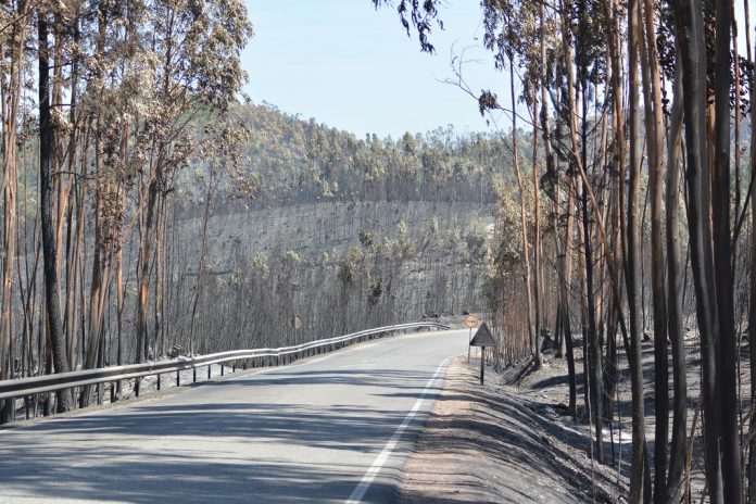 Incêndios: União Europeia apoia Portugal com 50,6 milhões de euros