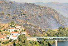 Incêndios: Território nacional apresenta muitas vulnerabilidades