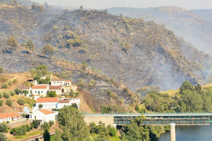 Incêndios: Território nacional apresenta muitas vulnerabilidades