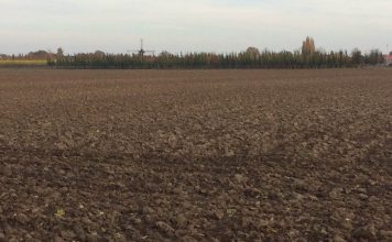 Lei da UE sobre desflorestamento: Conselho da UE e Parlamento Europeu acordam numa revisão para simplificação