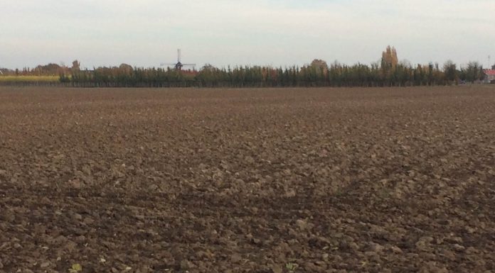 Lei da UE sobre desflorestamento: Conselho da UE e Parlamento Europeu acordam numa revisão para simplificação Lei da UE sobre desflorestamento: Conselho da UE e Parlamento Europeu acordam numa revisão para simplificação