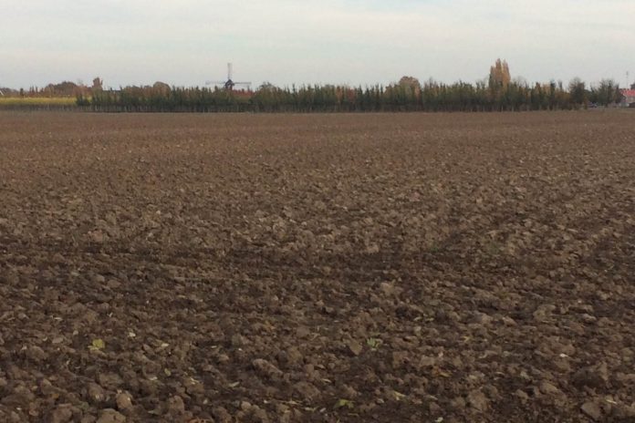 Lei da UE sobre desflorestamento: Conselho da UE e Parlamento Europeu acordam numa revisão para simplificação Lei da UE sobre desflorestamento: Conselho da UE e Parlamento Europeu acordam numa revisão para simplificação