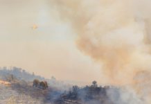 Exposição a fumo de incêndio florestal aumento risco de COVID-19