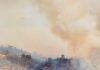 Fumo dos incêndios florestais polui o ar mas também é um importante fertilizante Fumo dos incêndios florestais polui o ar mas também é um importante fertilizante