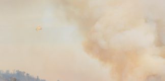 Fumo dos incêndios florestais polui o ar mas também é um importante fertilizante Fumo dos incêndios florestais polui o ar mas também é um importante fertilizante