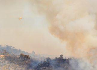 Fumo dos incêndios florestais polui o ar mas também é um importante fertilizante