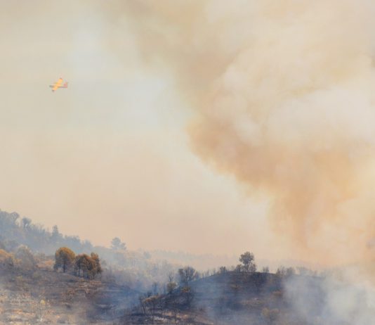 Fumo dos incêndios florestais polui o ar mas também é um importante fertilizante
