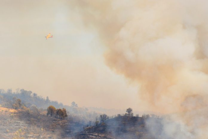 Fumo dos incêndios florestais polui o ar mas também é um importante fertilizante