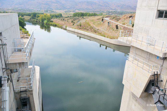 Cátedra EDP em Biodiversidade na U.Porto faz uso do ADN ambiental