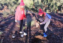 Voluntários plantam árvores autóctones na Mata Municipal de Penamacor