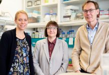 Aborto espontâneo é motivado pela ausência de um gene