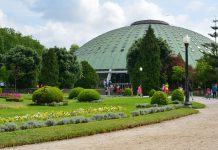 Festa da Saúde nos Jardins do Palácio de Cristal no Porto