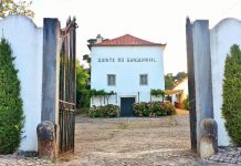 Festa na Quinta do Sanguinhal junta vinho e arte