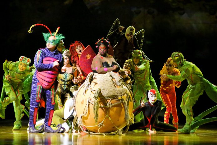 Cirque du Soleil apresenta OVO em janeiro de 2019, em Lisboa