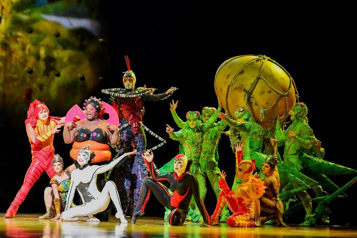 Cirque du Soleil faz sessão extra de “OVO” no dia 11 de janeiro, no Altice Arena