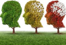 Uma em cada três pessoas irá sofrer de doença de Alzheimer
