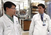 Gang Zhou e Locke Bryan investigadores da Augusta University.