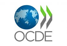 Pedro Calado eleito Presidente do Grupo de Trabalho Migrações da OCDE