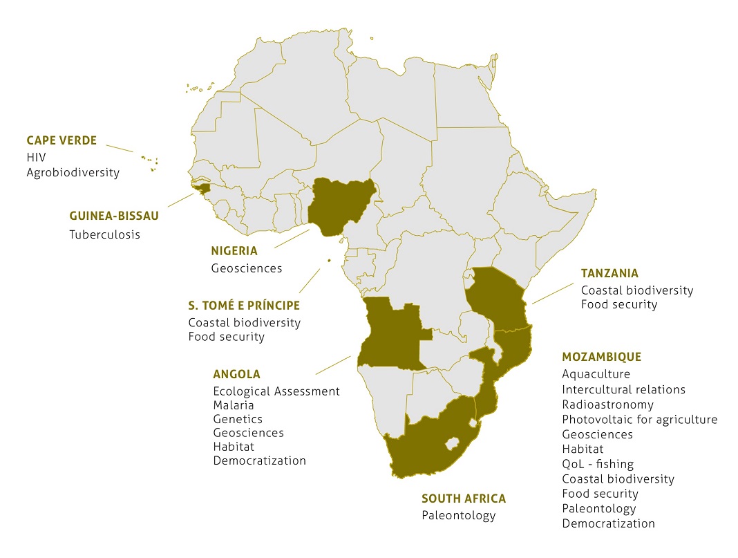 FCT e Aga Khan apoiam 16 projetos para Africa com 4,6M€