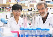 Daniel Tenen (à direita) e o Liu Bee Hui (à esquerda), investigadores do Instituto do Cancro de Singapura, da Universidade Nacional de Singapura, e membros da equipa que desenvolveu um novo medicamento peptídico que pode tratar eficazmente o cancro do fígado.