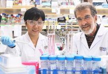 Daniel Tenen (à direita) e o Liu Bee Hui (à esquerda), investigadores do Instituto do Cancro de Singapura, da Universidade Nacional de Singapura, e membros da equipa que desenvolveu um novo medicamento peptídico que pode tratar eficazmente o cancro do fígado.
