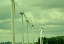 União Europeia já emitiu mais de 78,5 mil milhões de euros de obrigações verdes