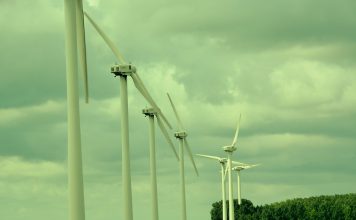 Governo lança Estratégia Industrial Verde para atrair investimentos usando vantagens da posição em energias renováveis
