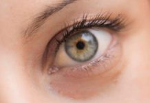 Alterações nos vasos sanguíneos no olho indicam início de Alzheimer