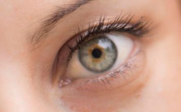 Alterações nos vasos sanguíneos no olho indicam início de Alzheimer