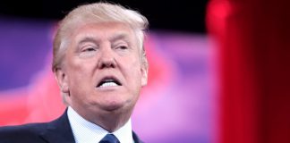 Donald Trump aumentou apoio nas áreas com crescimento de população latina