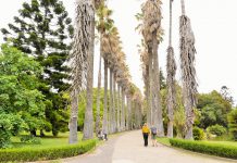 Jardim Botânico Tropical com reabilitação de 1,4 milhões de euros