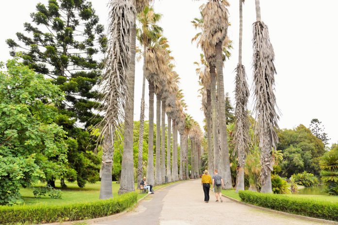 Jardim Botânico Tropical com reabilitação de 1,4 milhões de euros