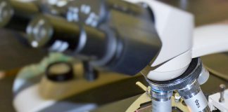 Compete2030 abre concurso de 45 milhões de euros para aumentar ligação entre Centros de I&D e empresas Compete2030 abre concurso de 45 milhões de euros para aumentar ligação entre Centros de I&D e empresas
