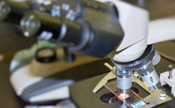 Compete2030 abre concurso de 45 milhões de euros para aumentar ligação entre Centros de I&D e empresas Compete2030 abre concurso de 45 milhões de euros para aumentar ligação entre Centros de I&D e empresas