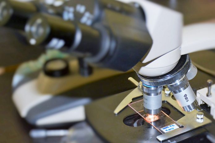 Compete2030 abre concurso de 45 milhões de euros para aumentar ligação entre Centros de I&D e empresas Compete2030 abre concurso de 45 milhões de euros para aumentar ligação entre Centros de I&D e empresas