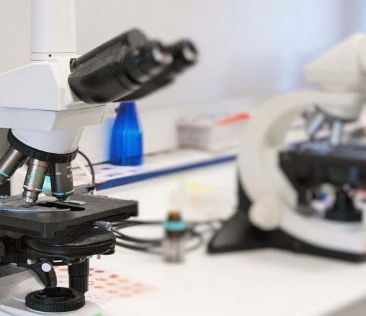 União Europeia aprova novo tratamento para leucemia linfocítica crónica
