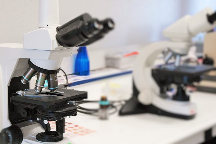 Três novos projetos de biotecnologia reconhecidos como Importantes de Interesse Comum Europeu Três novos projetos de biotecnologia reconhecidos como Importantes de Interesse Comum Europeu