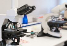 Tratamento da doença renal diabética pode beneficiar com complemento de terapia tradicional