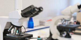 Tratamento da doença renal diabética pode beneficiar com complemento de terapia tradicional Tratamento da doença renal diabética pode beneficiar com complemento de terapia tradicional