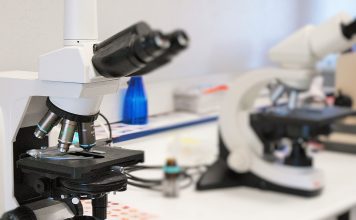 Tratamento da doença renal diabética pode beneficiar com complemento de terapia tradicional Tratamento da doença renal diabética pode beneficiar com complemento de terapia tradicional