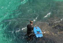 Matosinhos reforça educação ambiental ligada ao mar