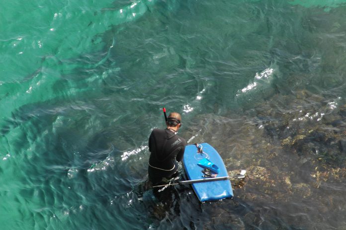 Matosinhos reforça educação ambiental ligada ao mar