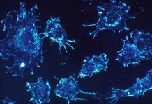 Descoberta de mutações em células cancerígenas permite melhor tratamento do cancro