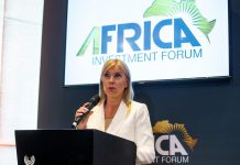 Aliança África-Europa promove investimento em energia sustentável em África