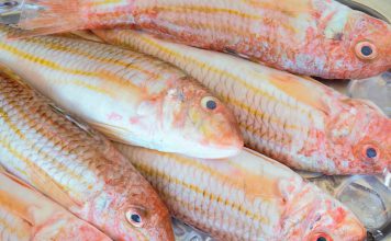 Apoio às Pescas e aquicultura com linhas de crédito estatais de 20 milhões de euros