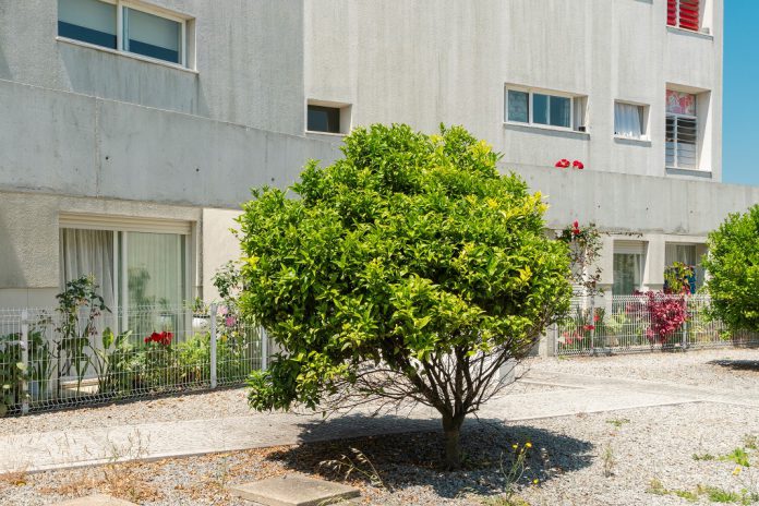 Habitação social em Matosinhos tem novos postos de atendimento Habitação social em Matosinhos tem novos postos de atendimento