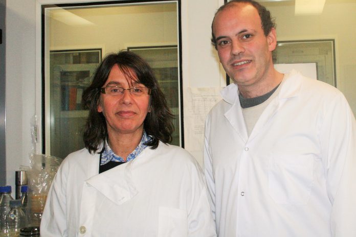 Paula Morais, coordenadora da investigação e Pedro Farias, primeiro autor do estudo, sobre origem das infeções hospitalares Paula Morais, coordenadora da investigação e Pedro Farias, primeiro autor do estudo, sobre origem das infeções hospitalares
