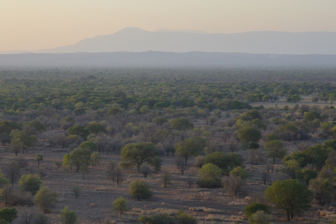 Parque Nacional da Gorongosa, em Moçambique