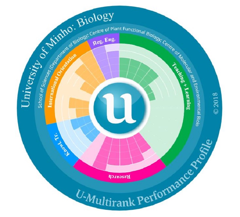 Universidade do Minho sobe na classificação U-Multirank 2018